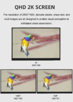 ZSUS 16" 2K Portable Monitor 100%sRGB 1600P IPS Screen Travel Gaming Computer Display for Steam Deck Laptop Switch PS4 PS5 Xbox - Image 3